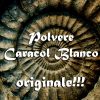 POLVERE CARACOL BLANCO - KIT RITUALE DOMINIO